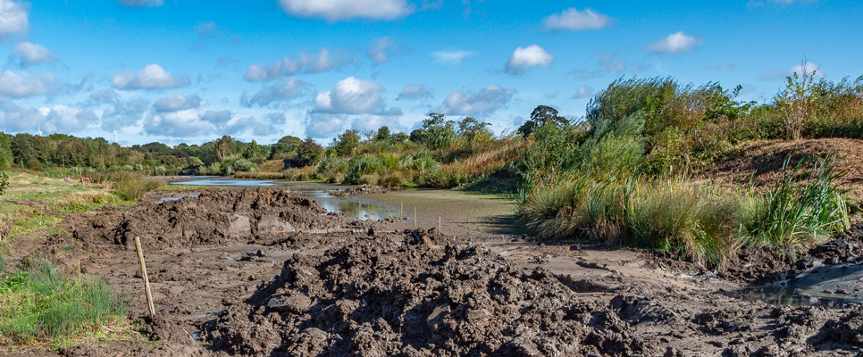 Wader Lake desilting Sep 2021 (5) 966x400.jpg