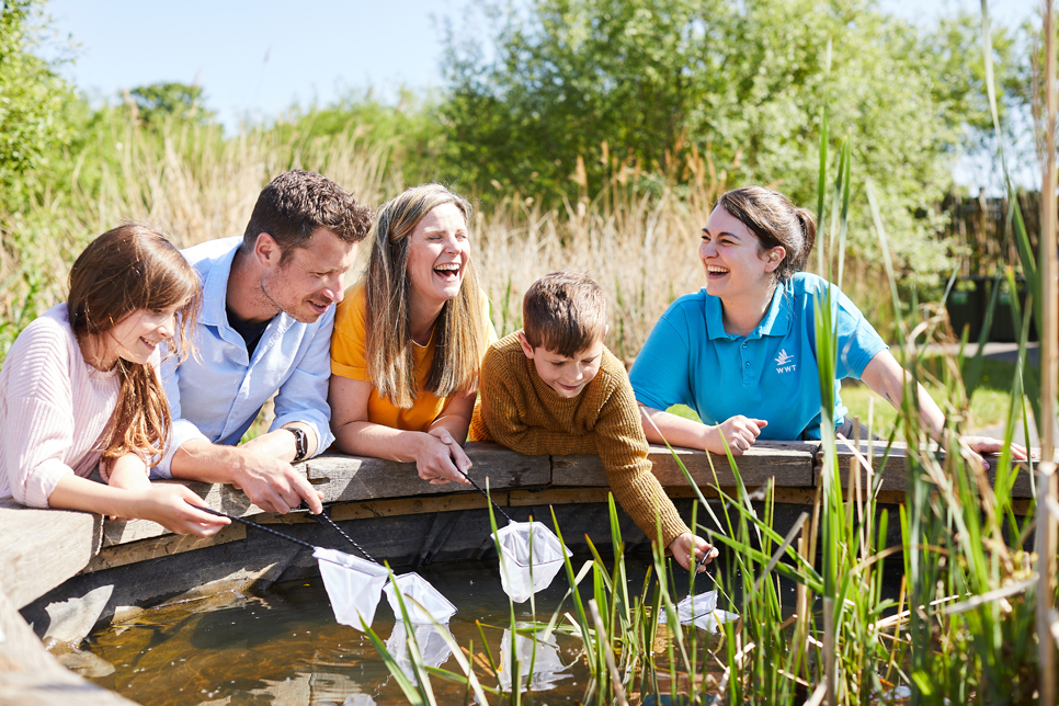 Summer - family laughing pond dip 966x644.jpg