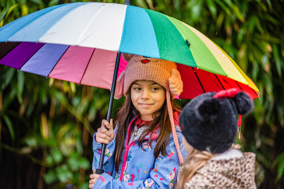 Exploring our wetlands in the rain