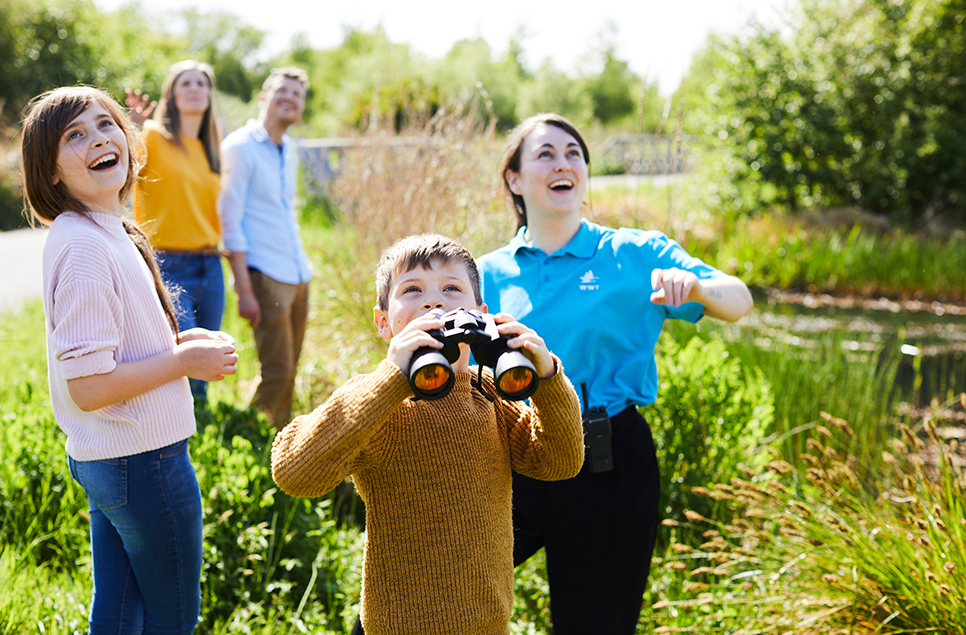 Become a Wetland Ranger this Summer at Arundel Wetland Centre