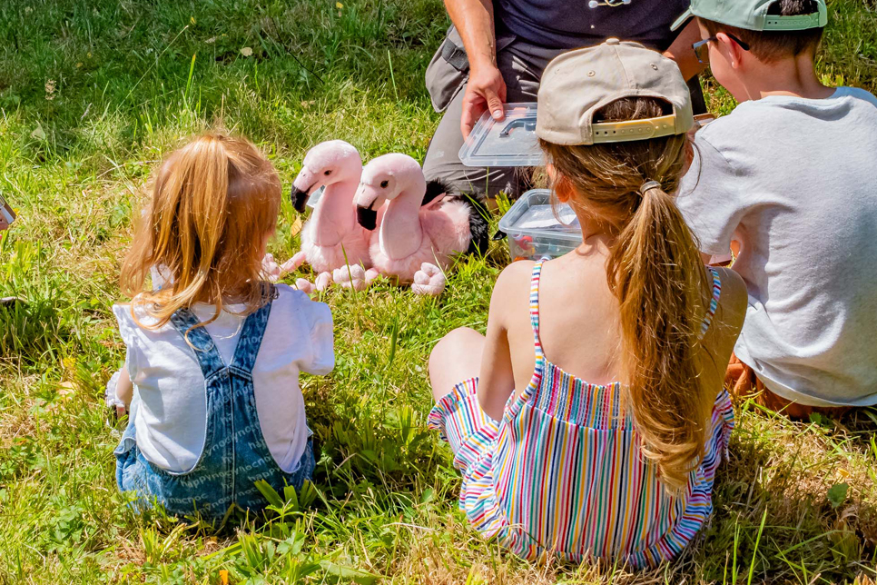 Families flock to Washington Wetland Centre  to become fully-fledged Junior Wetland Rangers