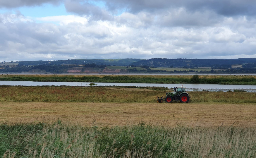 Making hay