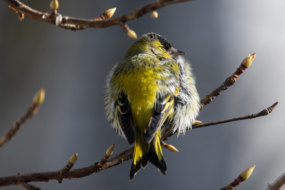 Wildlife sightings - 07/02/2024