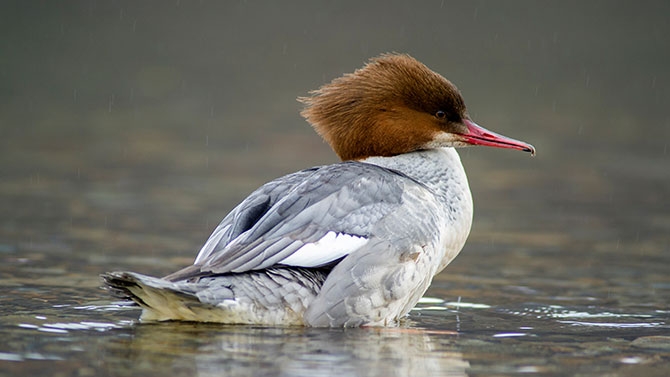 Wader Lake project reaching new depths