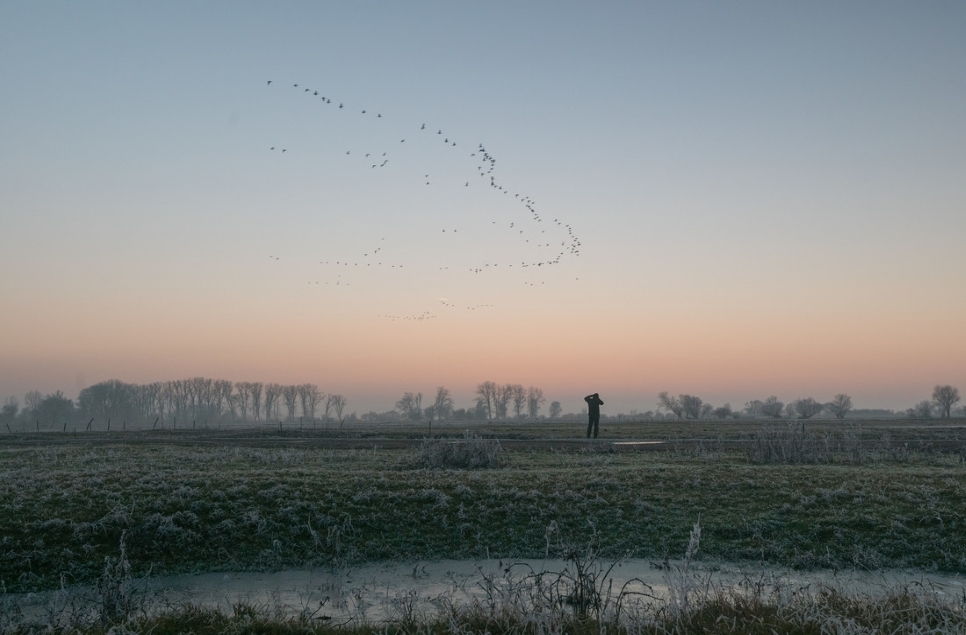 Winter comes to Caerlaverock