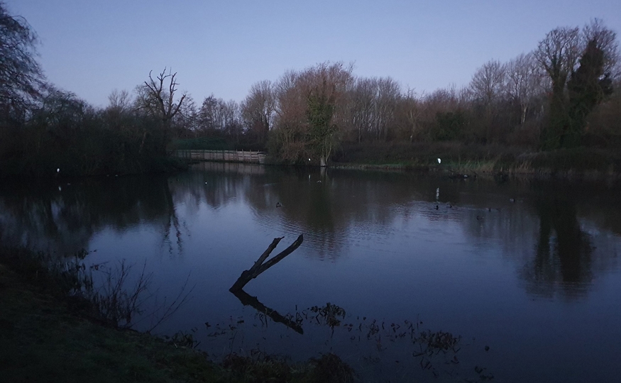 Boxing Day birding