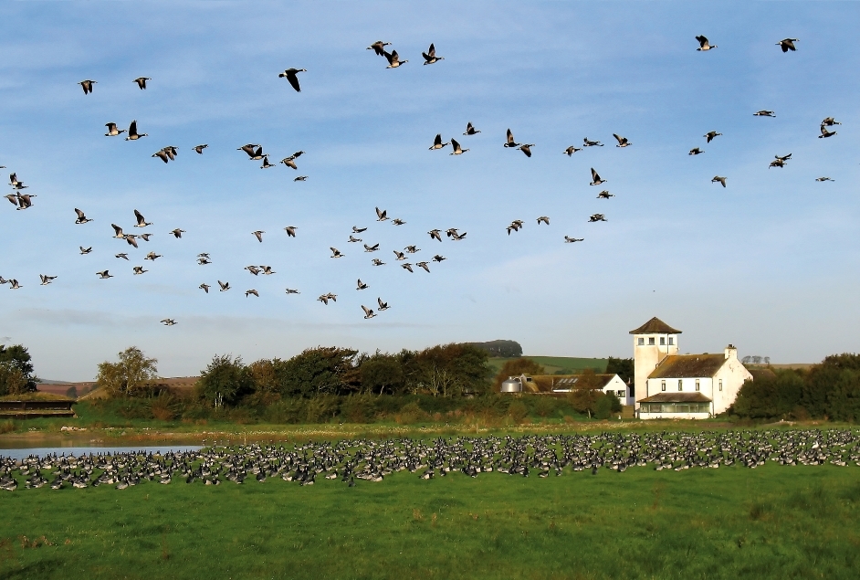 Gallery Exhibition - Follow the History of Caerlaverock