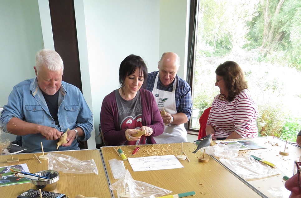 Begin Wood Carving - Avocet