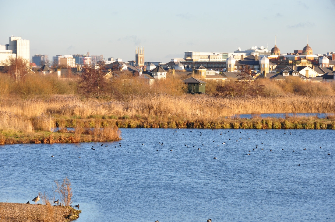 Main Lake.jpg