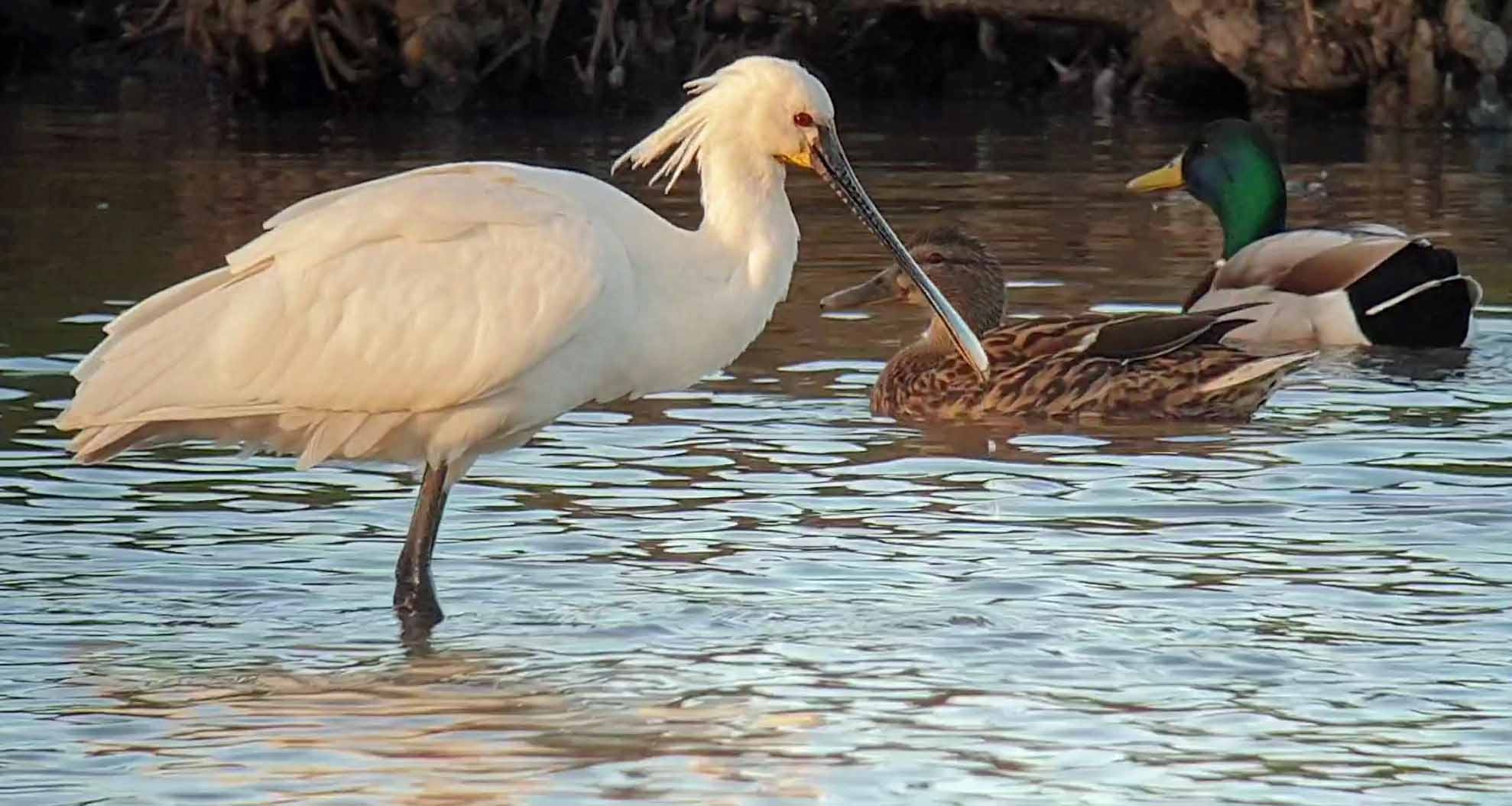 Hide round sightings for the last day of February 23