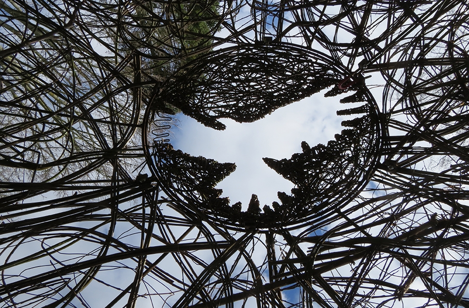 willow sphere web.jpg