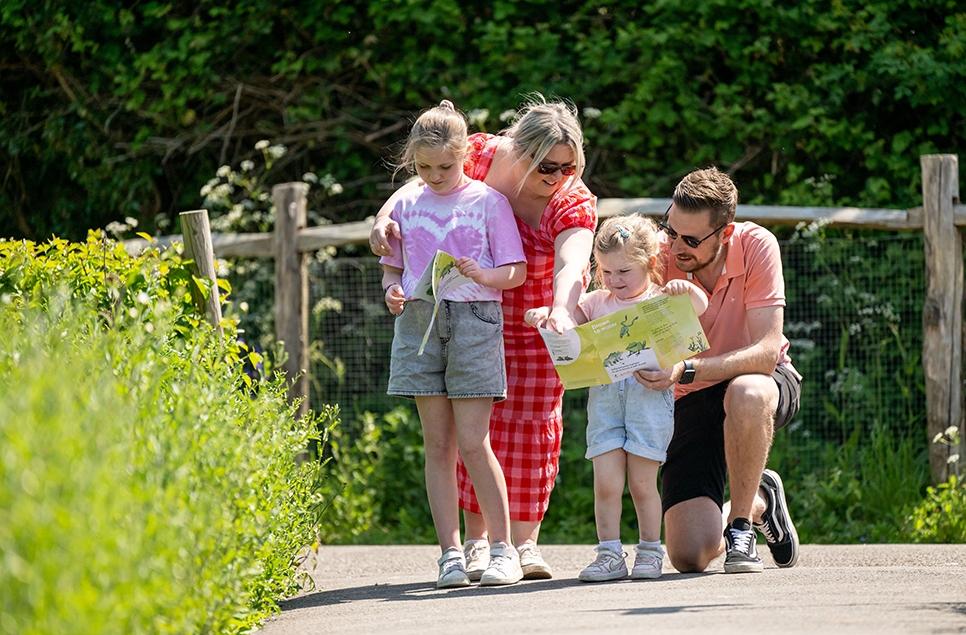 Drawn to water visitors - Arundel - Spring.jpg