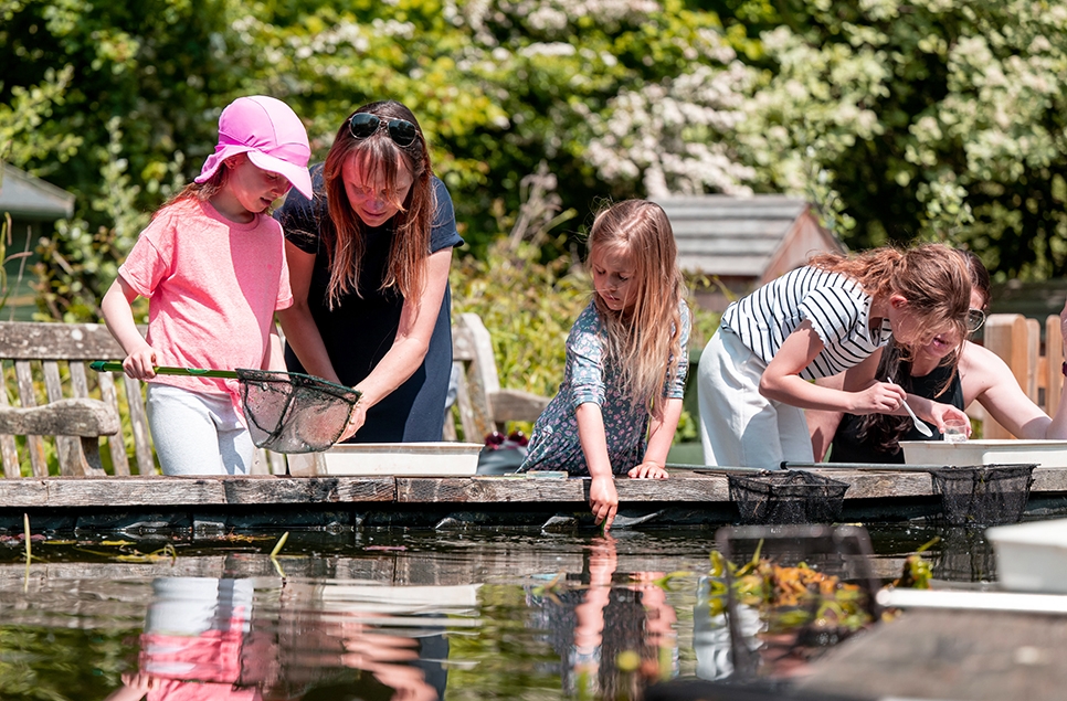 Half term nature activities for families