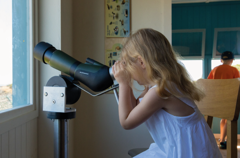 Young girl birdwatching from a scope, WWT Martin Mere