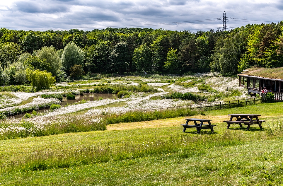 Centre wins top tourism award from VisitEngland