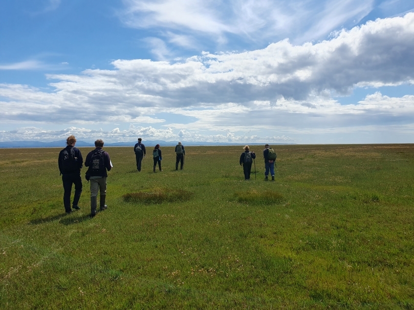 Changing tides - discovering the zonation of the saltmarsh