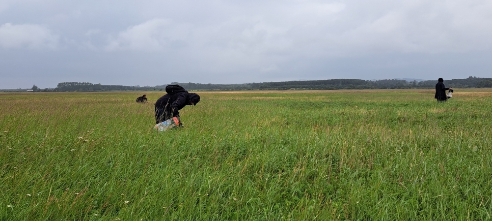 The saltmarsh larder