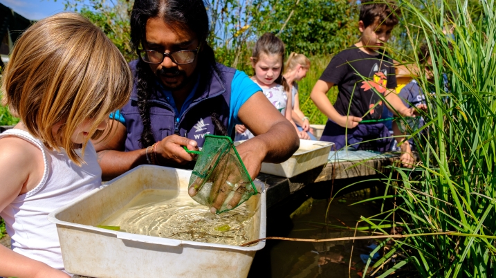 pond dipping.jpg