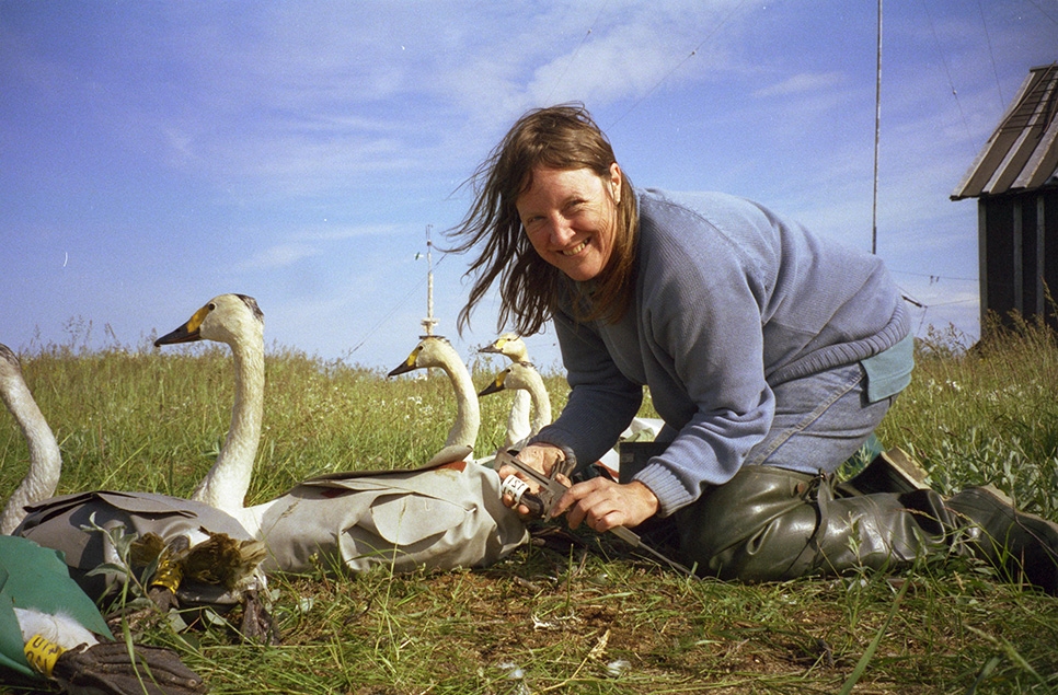 An epic career in conservation with Dr Eileen Rees OBE