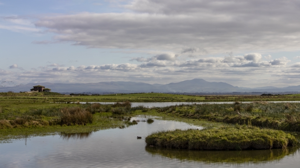 Has Caerlaverock cracked the secret to achieving New Year's resolutions? 