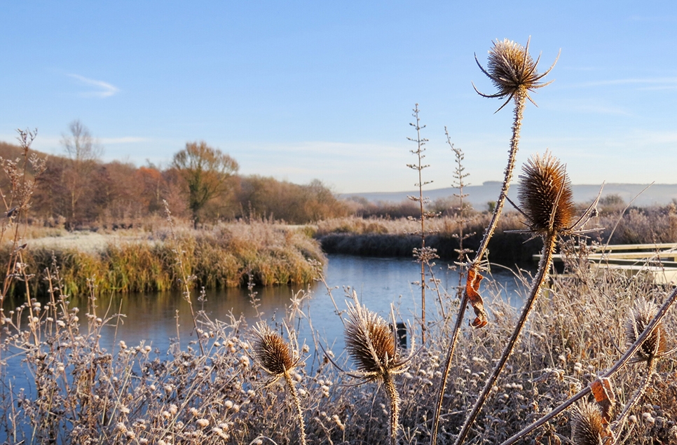 AR winter view 966x635.jpg