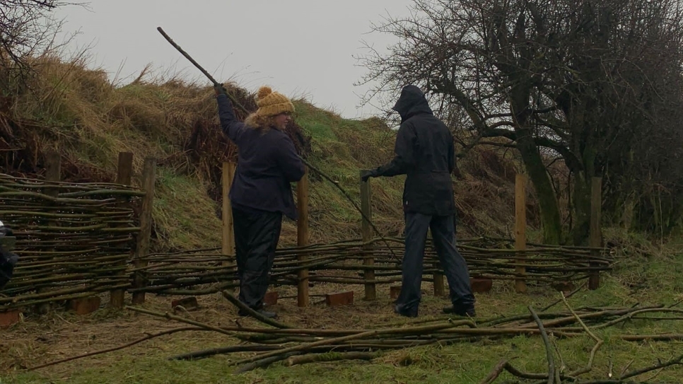 Willow Weaving