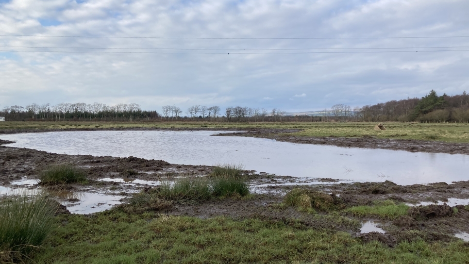 Making a mess at Powhillon: The Wilder, Wetter Caerlaverock Diaries no.1