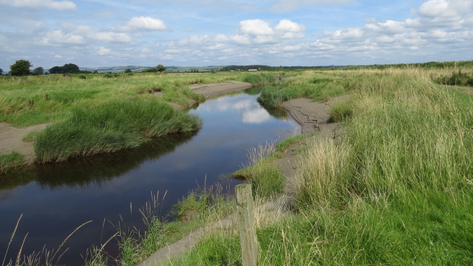 Wetland Word of the Week 14