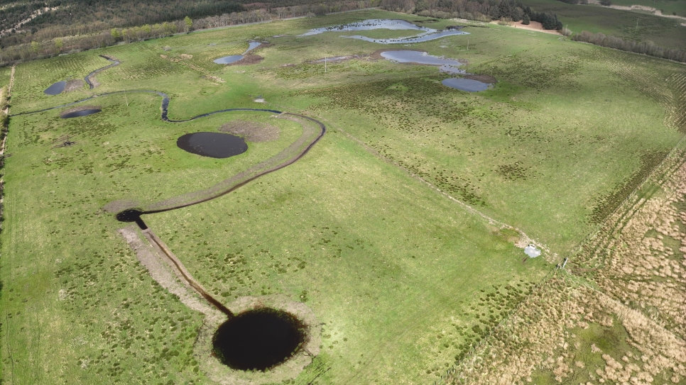 Nature's approval: The Wilder, Wetter Caerlaverock Diaries no.4