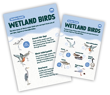 Wetland spotter guides web 360x310px.jpg