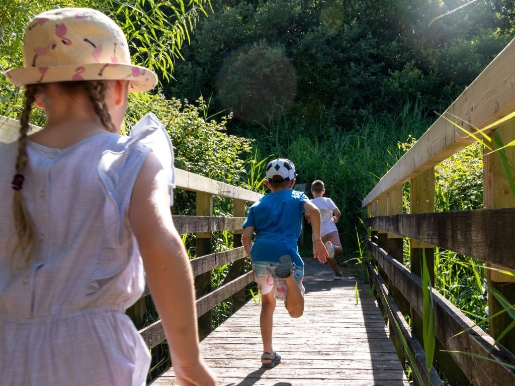 Experience a Summer of Wonder at WWT Castle Espie