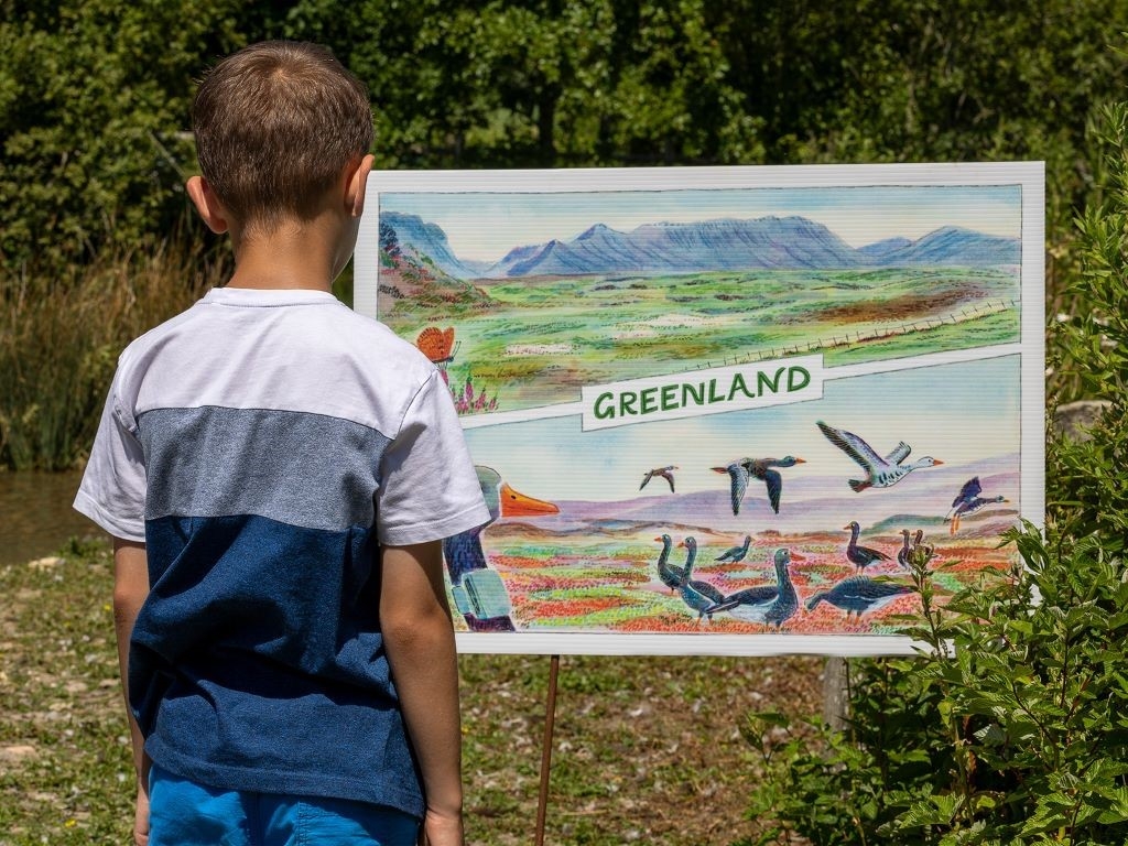 Boy looking at a giant 'Greenland' postcard.