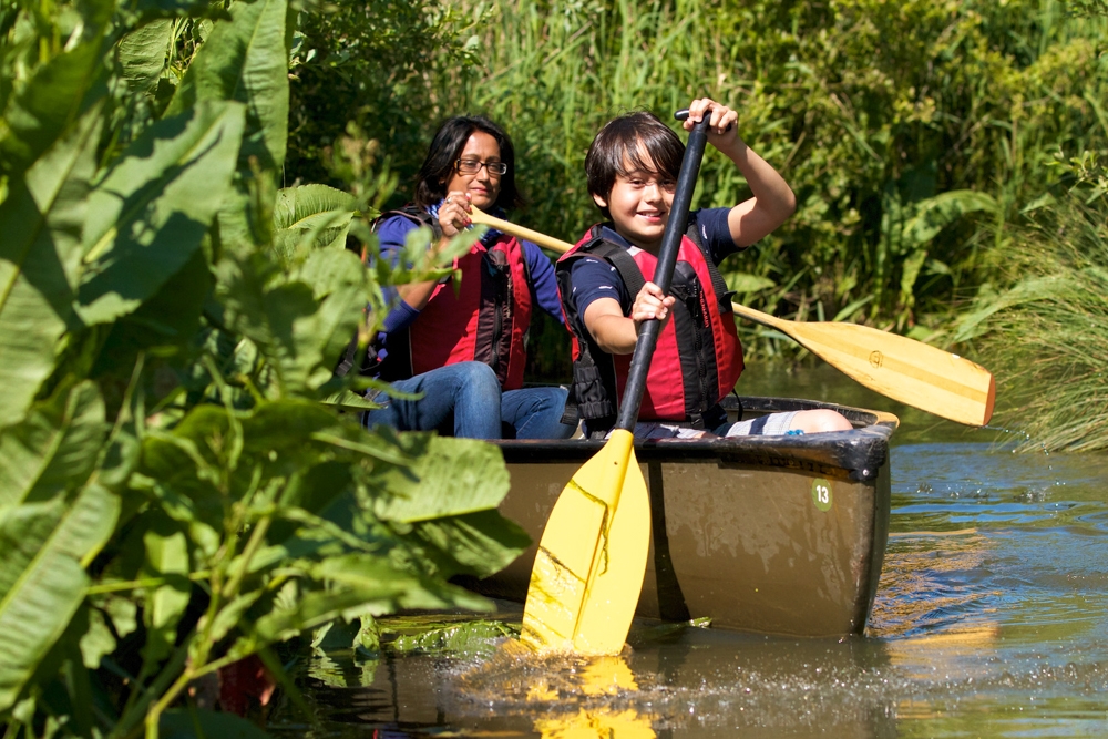 An adult and child sailing in a canoe at WWT Martin Mere