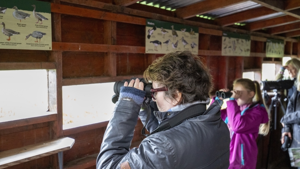 View: High Tide Birding