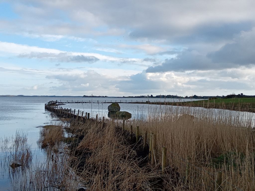 Coastal wetland flooded at high tide