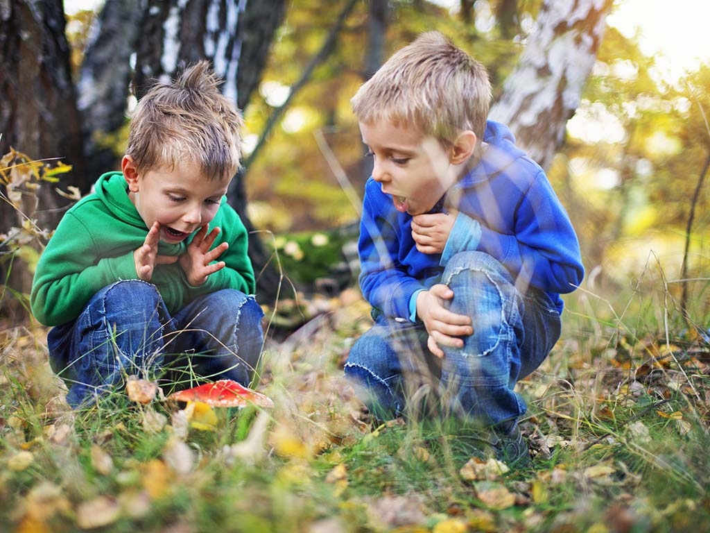 Children gasping at a fly agaric mushroom on the woodland floor